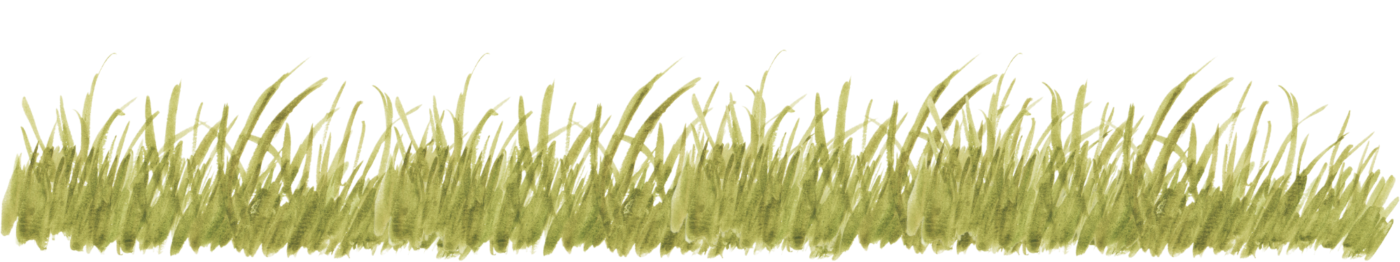 Grass