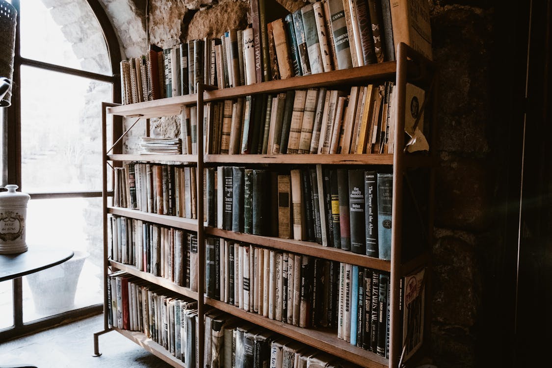 free-photo-of-vintage-books-on-shelves-by-a-window